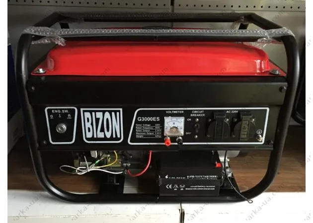 Фото 2 - Бензиновый генератор Bizon G3000ES